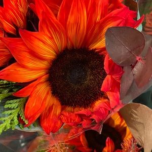 Meet your Posher, Kacie